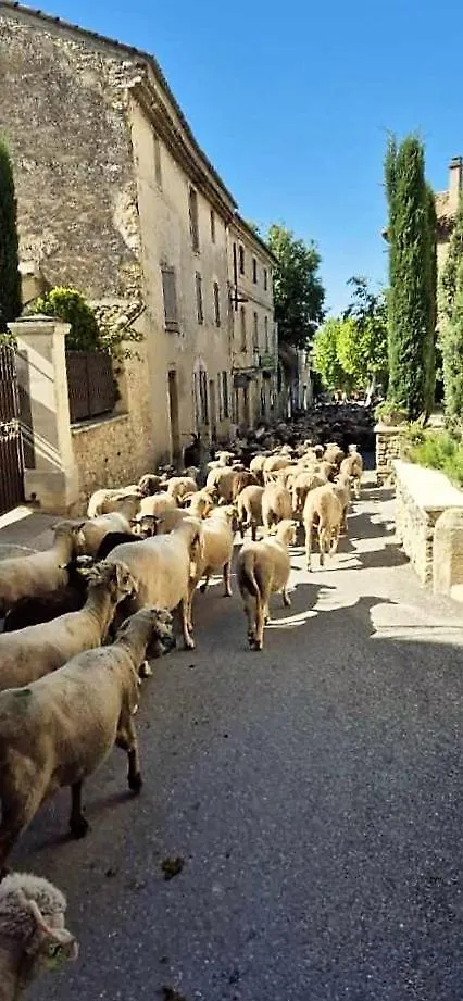 Chambres D'Hotes Le Relais Des Marmottes En Luberon Lagnes